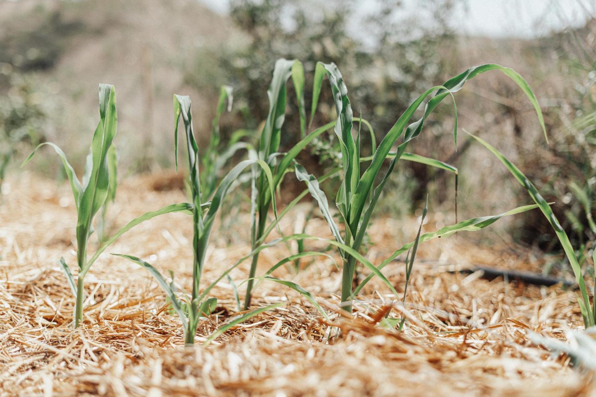 Nature Home Maitreya Lorca  Εξωτερικό φωτογραφία